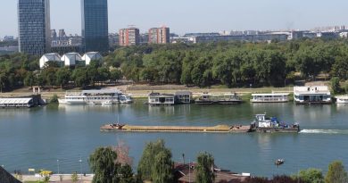 Porastao pretovar robe na rekama u Srbiji