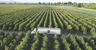 Napredna logistička rešenja za izvoznike voća – MSC Srbija obezbeđuje uslugu „od vrata do vrata“