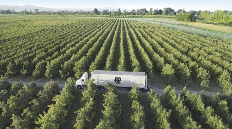 Napredna logistička rešenja za izvoznike voća – MSC Srbija obezbeđuje uslugu „od vrata do vrata“