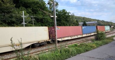 SAZNAJEMO: Još 3 kompanije dobile licencu za železnički kargo prevoz u Srbiji